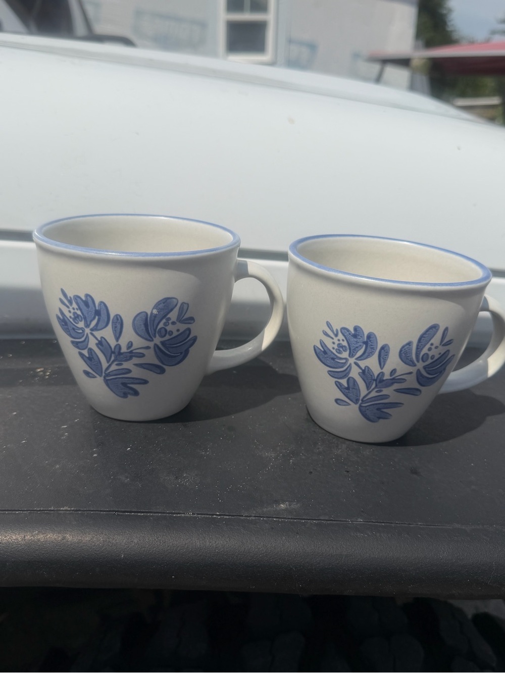 Pfaltzgraff White Mugs with Blue Floral Motif - Pair